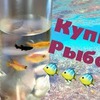 новое фото koshkakoroleva новое фото koshkakoroleva