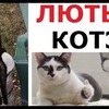 разместить рекламу в блоге Макс Максимов разместить рекламу в блоге Макс Максимов