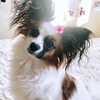 фотография Ксения Михайлова фотография Ксения Михайлова
