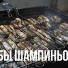 заказать рекламу у блоггера IMHO VIDEO заказать рекламу у блоггера IMHO VIDEO