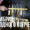 реклама в блоге IMHO VIDEO реклама в блоге IMHO VIDEO