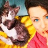 реклама на блоге chihuasophieanny_magik реклама на блоге chihuasophieanny_magik