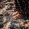 разместить рекламу в блоге Юлия Абрамова разместить рекламу в блоге Юлия Абрамова
