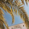 фотография Джейн Кравитц фотография Джейн Кравитц