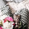 реклама на блоге Алеся Соловьева реклама на блоге Алеся Соловьева