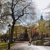 реклама на блоге Юлия Фёдорова реклама на блоге Юлия Фёдорова