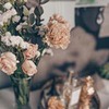 лучшие фото Ольга Панькина лучшие фото Ольга Панькина