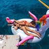 реклама у блоггера Мила Голландцева реклама у блоггера Мила Голландцева
