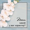 разместить рекламу в блоге Елена Эснер разместить рекламу в блоге Елена Эснер