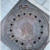 фото на странице Эмиль фото на странице Эмиль