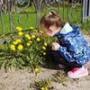 реклама у блоггера Анастасия Волкова (Пфефочка) реклама у блоггера Анастасия Волкова (Пфефочка)