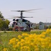 фото на странице Роман Вуколов фото на странице Роман Вуколов