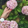 фотография Марина Малиновая фотография Марина Малиновая