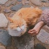 фотография Арина Миронова фотография Арина Миронова