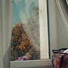 новое фото Вера Boooo новое фото Вера Boooo