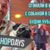 реклама у блоггера gleb_kornilov реклама у блоггера gleb_kornilov