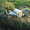 реклама у блоггера Анна Позняк-Ибатулина реклама у блоггера Анна Позняк-Ибатулина