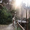 фотография Диана Милканова (Козырева) фотография Диана Милканова (Козырева)
