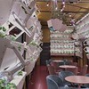 фотография Катя Иванова фотография Катя Иванова