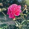 фотография Валентина Молдованова фотография Валентина Молдованова