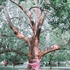 лучшие фото Мария Орлова лучшие фото Мария Орлова