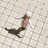 новое фото Анастасия Штабова новое фото Анастасия Штабова