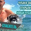 реклама на блоге gleb_kornilov реклама на блоге gleb_kornilov