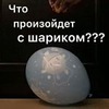 фотография Оксана Фролёнок фотография Оксана Фролёнок