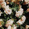 фотография Юлия Абрамова фотография Юлия Абрамова