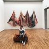 фотография Сергей Гущин фотография Сергей Гущин