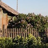 разместить рекламу в блоге Юлия Ватутина разместить рекламу в блоге Юлия Ватутина