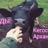 реклама у блоггера bashlowking реклама у блоггера bashlowking