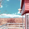 лучшие фото Анастасия Дористори лучшие фото Анастасия Дористори