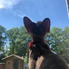 новое фото Ирина Соковых новое фото Ирина Соковых