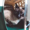 новое фото Евгений Калинин новое фото Евгений Калинин