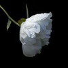 фотография Кристина Богданова фотография Кристина Богданова
