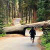 лучшие фото Дмитрий Доржиев лучшие фото Дмитрий Доржиев