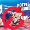новое фото exile_music новое фото exile_music