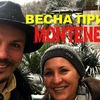 реклама у блоггера ssimonov100 реклама у блоггера ssimonov100