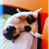 реклама на блоге Лина Вин реклама на блоге Лина Вин