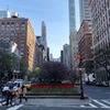 лучшие фото Настя Свон лучшие фото Настя Свон