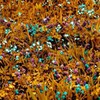 лучшие фото Кристина Богданова лучшие фото Кристина Богданова
