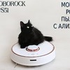 лучшие фото lovealiexpress_youtube лучшие фото lovealiexpress_youtube