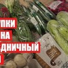 новое фото svetlana_bisyarina новое фото svetlana_bisyarina