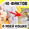 реклама на блоге elmofeo реклама на блоге elmofeo