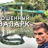 реклама в блоге venoru реклама в блоге venoru
