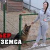разместить рекламу в блоге prozotova разместить рекламу в блоге prozotova