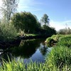 фотография Ольга Кодинцева фотография Ольга Кодинцева