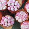 реклама на блоге Дарья Дацюк реклама на блоге Дарья Дацюк