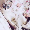 фотография Ксения Горина фотография Ксения Горина